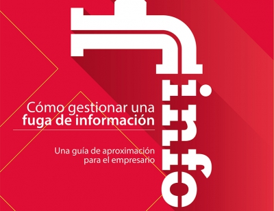 Guía gestión fuga de información
